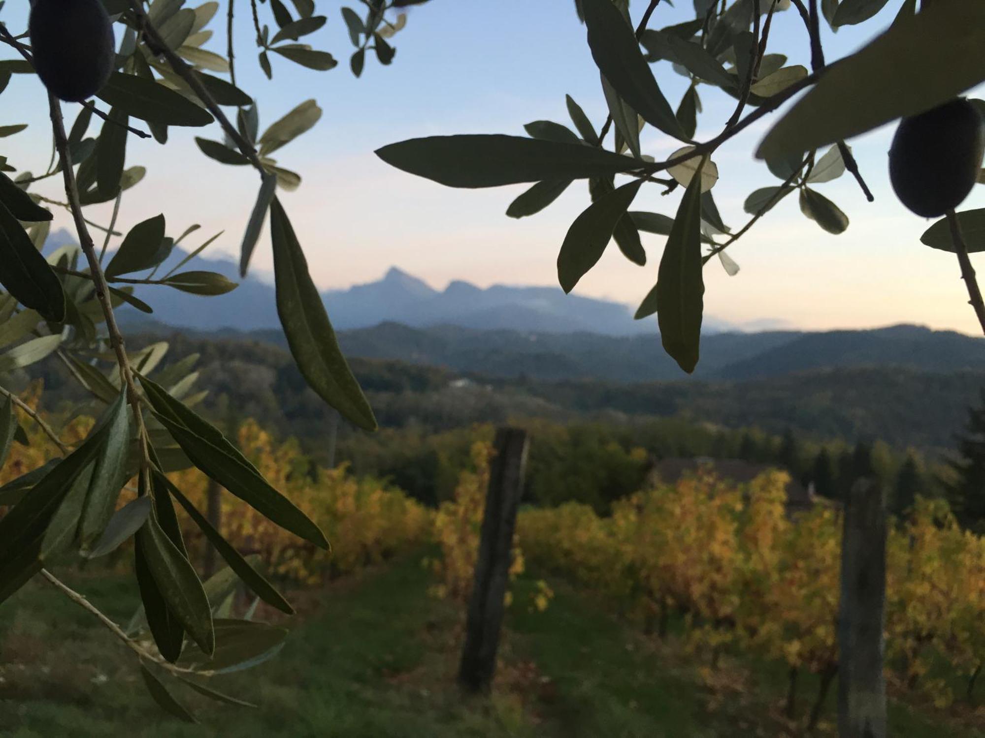 Agriturismo Il Bardellino Fivizzano Exteriör bild