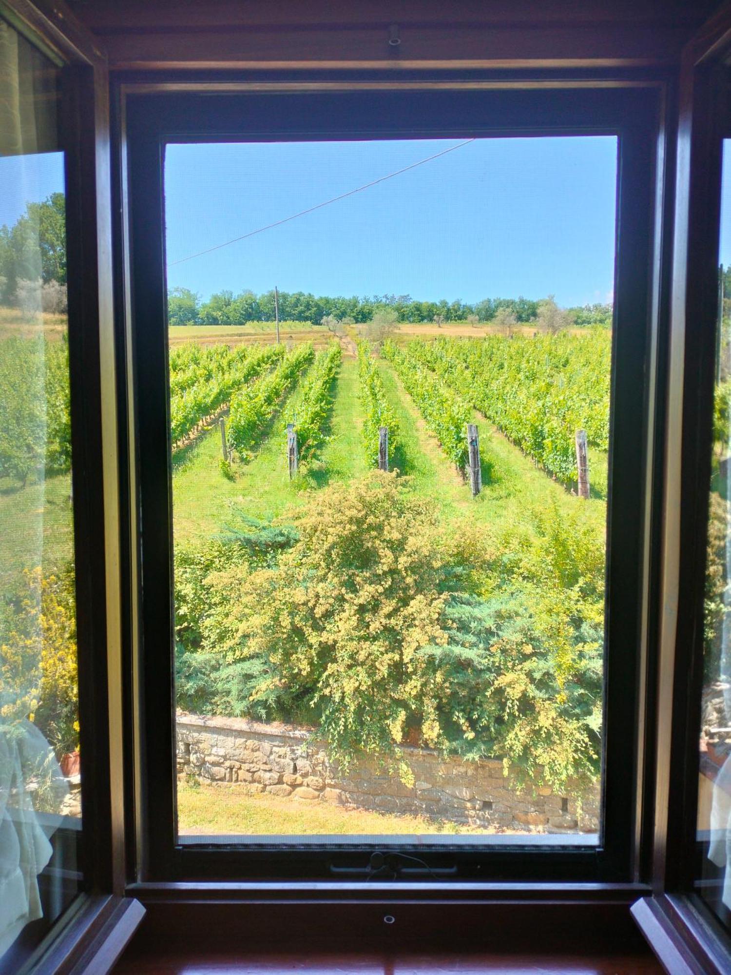Agriturismo Il Bardellino Fivizzano Exteriör bild